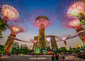 5 Best Restaurants Near Gardens by The Bay