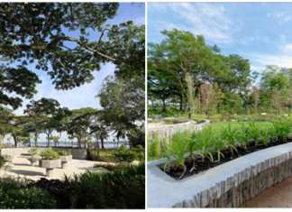First Therapeutic Gardens In The East Open In Bedok Reservoir And Pasir Ris